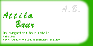 attila baur business card